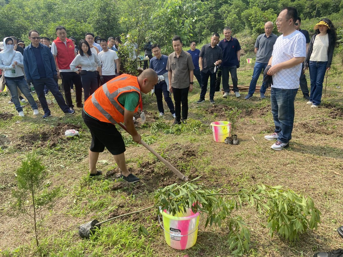 龙泉山义务植树项目现场